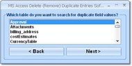 MS Access Delete (Remove) Duplicate Entries Softwa screenshot